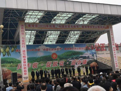 促增收，助脫貧——雙龍鎮參加全縣消費扶貧產品展銷會，開展經營助力打贏脫貧攻堅戰